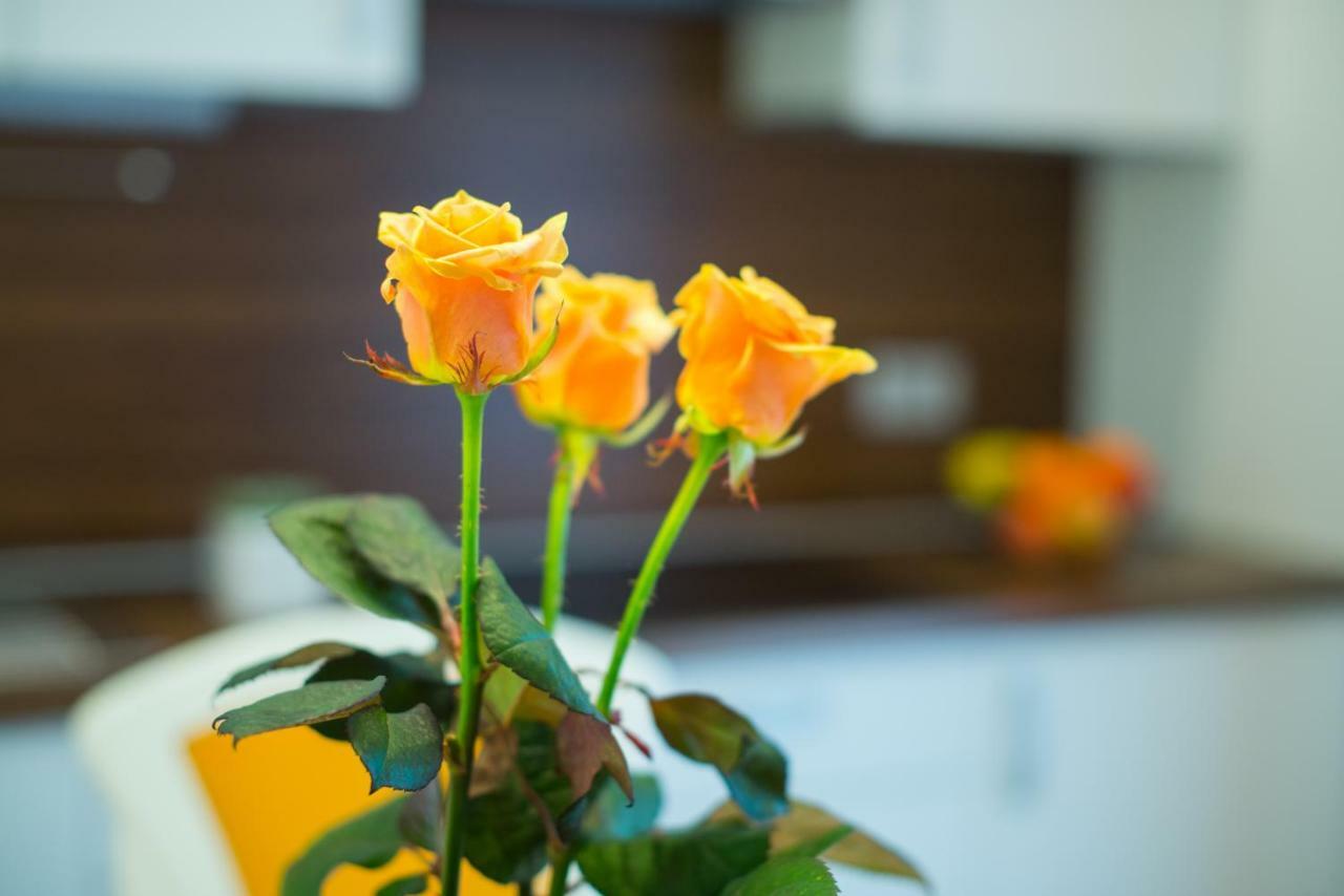 Apartments Miki'S Bled Ngoại thất bức ảnh